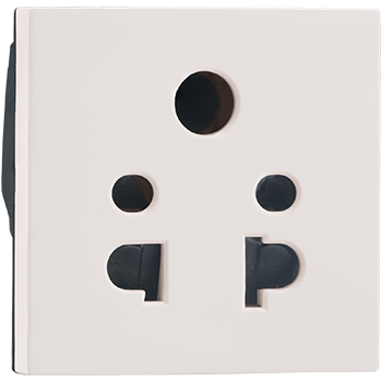 Legrand 679228 6 A SOCKET