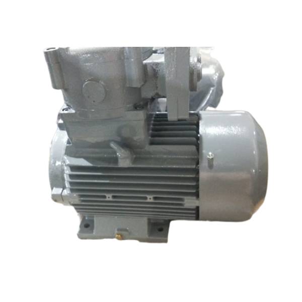 Hindustan 5HP 3.7 KW 2POLE 3000RPM B3 FOOT Mounting  Frame 100L 415VV 50HZ IE2 FLP MOTOR