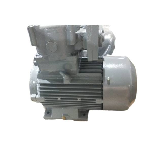Hindustan 0.50 HP 0.37 KW 2 POLE 3000 RPM B3FOOT MTG.415VV 60HZ FLAMEPROOF