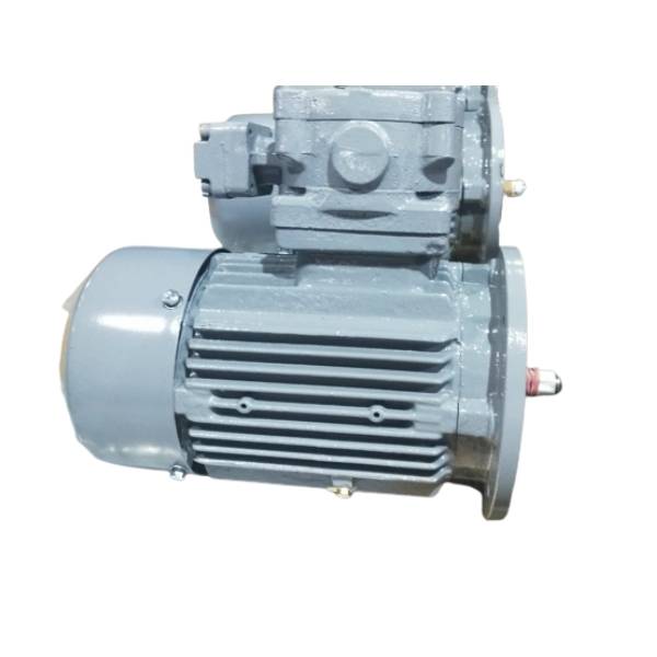 Hindustan 7.50HP 5.50KW 2 POLE 3000 RPM B5 FLANGE MOUNTED 415VV 50HZ FLAMEPROOF;112M