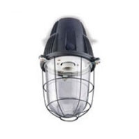 Philips HPK150 1xSON E 70W PHILIPS 919115810113