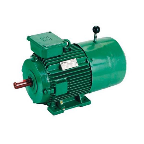 Hindustan 20 HP 15 KW 6 POLE 1000 RPM B 3FOOT.415VV 50HZ Frame: 180L IE2 FDR S4 DUTY
