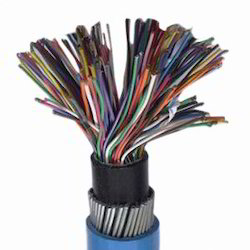 Polycab 0.5 Sqmm, 50 Pair Telephone (Switchboard) Polythene Insulation Pvc Sheathed Armoured Cable (1 Meter)